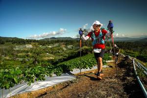 BIB: 
                            <button type="button" onclick="openModal(19122724)" class="btn btn-primary btn-sm float-right btn-popup" data-toggle="modal" data-target=".modal-high-quality">
                        <i class="fas fa-shopping-cart"></i> Add to Cart
                    </button>
                                            <button type="button" onclick="isThisMe(19122724, true)" class="btn btn-success btn-sm float-right btn-popup btn-isme hidden" data-toggle="tooltip" data-placement="bottom" title="นี่คือรูปของคุณใช่ไหม คลิกที่นี่เพื่อเอาเข้าอัลบั้ม">
                        <i class="fas fa-plus"></i> Add to album
                    </button>
                    <button type="button" onclick="isThisMe(19122724, false)" class="btn btn-warning btn-sm float-right btn-popup btn-isnotme hidden">
                        <i class="fas fa-ban"></i> Remove from album
                    </button>